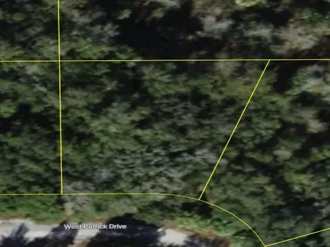 6891 W Patrick Dr, Homosassa, FL 34446