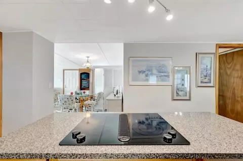 132 W Saint Lucia Loop, Apollo Beach, FL 33572 photo 8