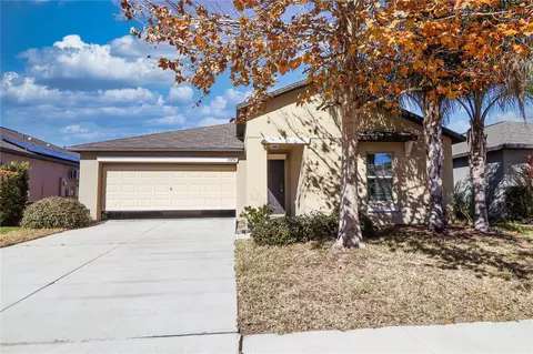 10206 Bright Crystal Ave, Riverview, FL 33578
