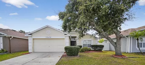 12630 Early Run Ln, Riverview, FL 33578