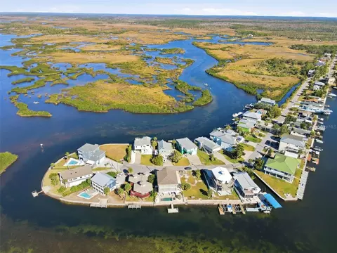 View/Area - 3395 Eagle Nest Dr, Hernando Beach, FL 34607 photo 8 of 11