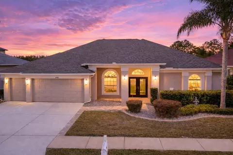 5446 Spectacular Bid Dr, Wesley Chapel, FL 33544