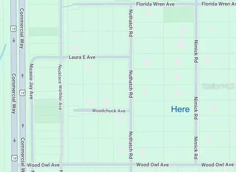 17467 Nimick Rd, Weeki Wachee, FL 34614