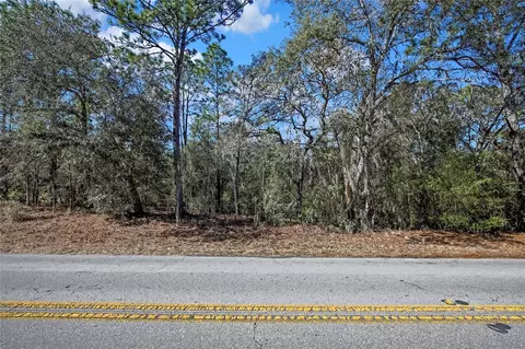 3292 N Annapolis Ave, Hernando, FL 34442