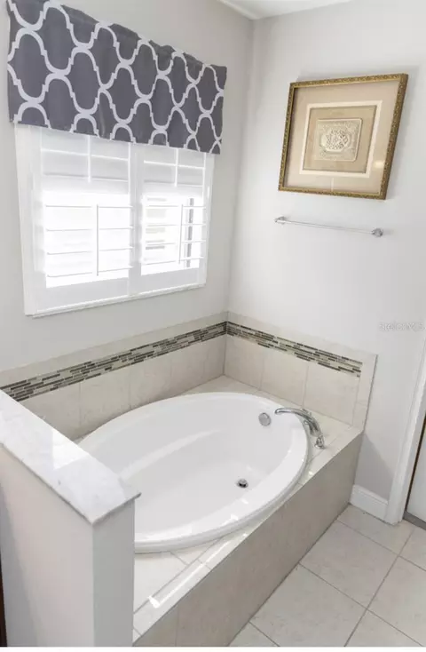 Bath - 1216 Old Windsor Way, Spring Hill, FL 34609 photo 3 of 9