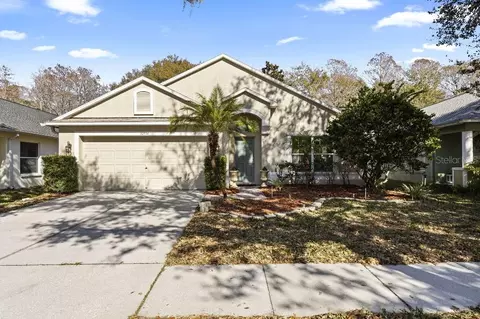 10934 May Apple Ct, Land O Lakes, FL 34638