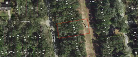 913 N Rooks Ave, Inverness, FL 34453