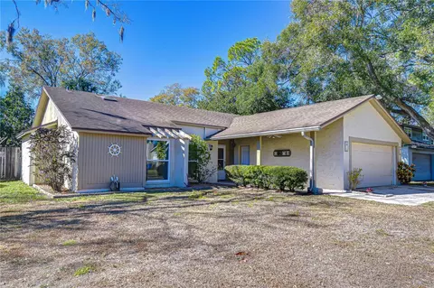 15310 Lazy Lake Pl, Tampa, FL 33624