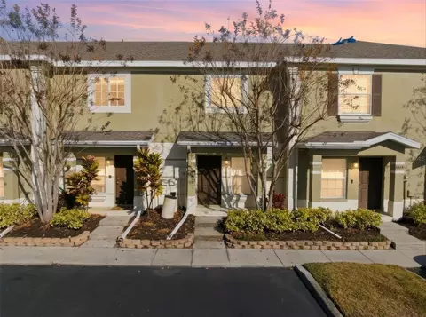 8532 Brushleaf Way, Tampa, FL 33647