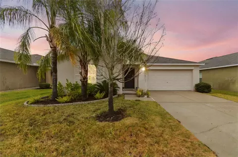 4904 Babbling Brook Ln, Wimauma, FL 33598