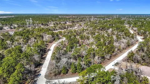 16070 Sheldrake Loop, Weeki Wachee, FL 34614 photo 12