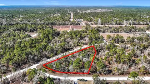 16070 Sheldrake Loop, Weeki Wachee, FL 34614 photo 2