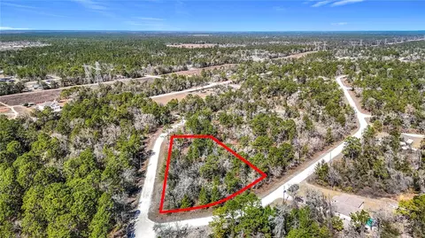 16070 Sheldrake Loop, Weeki Wachee, FL 34614 photo 23