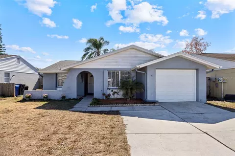 7212 Lunita Ct, Tampa, FL 33625