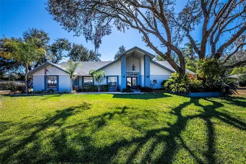 15912 Armistead Ln, Odessa, FL 33556