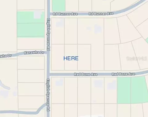 13189 Red Bone Ave, Weeki Wachee, FL 34614