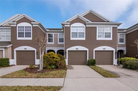 10132 Pink Palmata Ct, Riverview, FL 33578