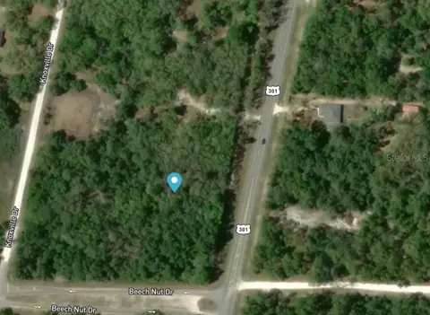 7445 Treiman Blvd, Webster, FL 33597