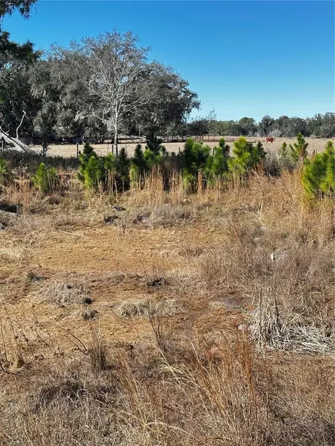 Cr 707 Road, Webster, FL 33597 photo 6