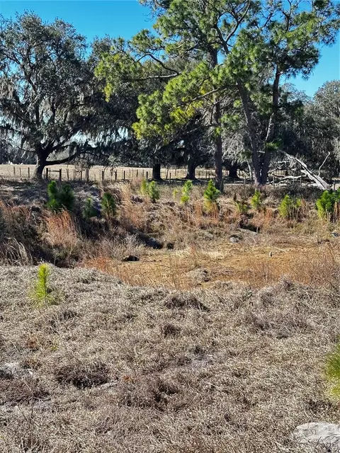 Cr 707 Road, Webster, FL 33597 photo 5
