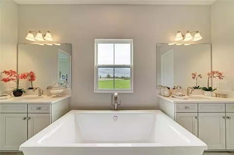 Bath - 10858 Spring Sapling Cir, Parrish, FL 34219 photo 2 of 7