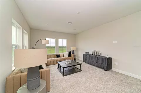 Other - 10858 Spring Sapling Cir, Parrish, FL 34219 photo 5 of 9