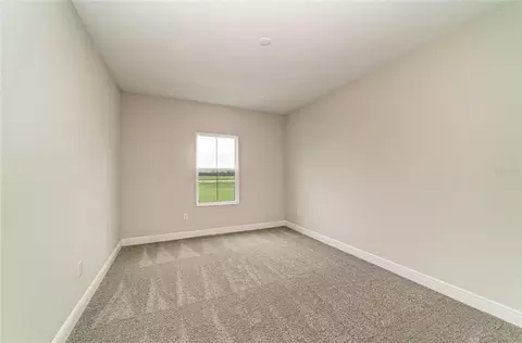 Bedroom - 10858 Spring Sapling Cir, Parrish, FL 34219 photo 10 of 11