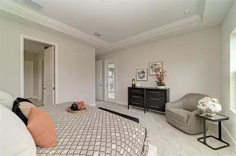Bedroom - 10858 Spring Sapling Cir, Parrish, FL 34219 photo 3 of 11
