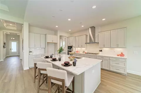 Kitchen - 10858 Spring Sapling Cir, Parrish, FL 34219 photo 3 of 7