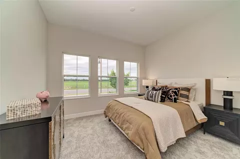 Bedroom - 10858 Spring Sapling Cir, Parrish, FL 34219 photo 6 of 11