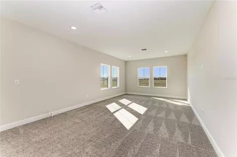 Other - 10858 Spring Sapling Cir, Parrish, FL 34219 photo 5 of 7