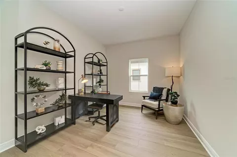 Other - 10858 Spring Sapling Cir, Parrish, FL 34219 photo 7 of 9