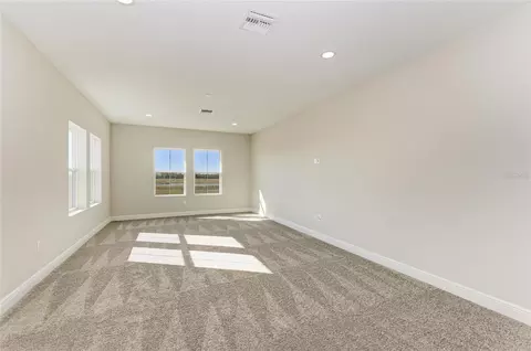 Other - 10858 Spring Sapling Cir, Parrish, FL 34219 photo 4 of 7