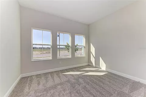 Other - 10858 Spring Sapling Cir, Parrish, FL 34219 photo 3 of 7
