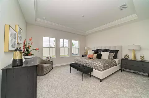 Bedroom - 10858 Spring Sapling Cir, Parrish, FL 34219 photo 1 of 11