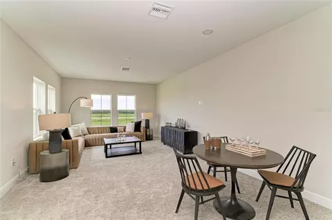 Other - 10858 Spring Sapling Cir, Parrish, FL 34219 photo 4 of 9