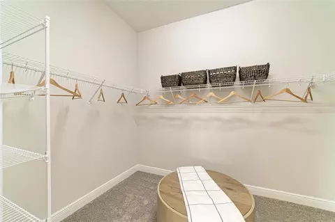 Other - 10858 Spring Sapling Cir, Parrish, FL 34219 photo 1 of 9