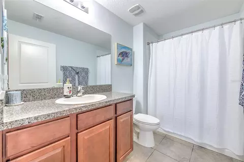 Bath - 12619 Lemon Pepper Dr, Riverview, FL 33578 photo 1 of 3