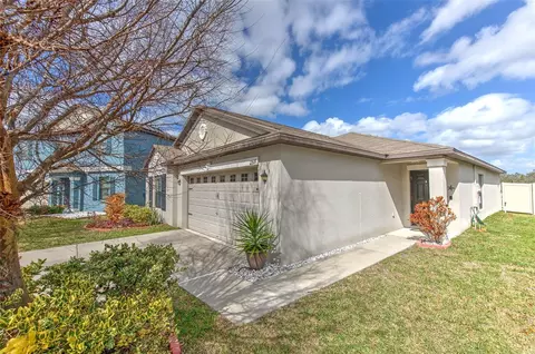 Exterior - 12619 Lemon Pepper Dr, Riverview, FL 33578 photo 3 of 9