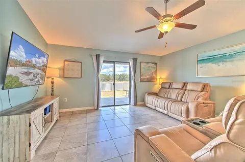 Living - 12619 Lemon Pepper Dr, Riverview, FL 33578 photo 4 of 4