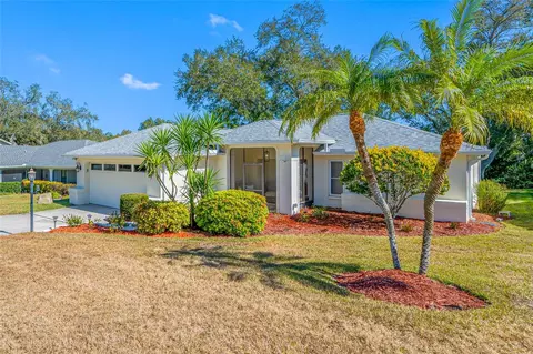 1611 Highland Club Ln, Palm Harbor, FL 34684