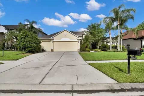 26451 Shoregrass Dr, Wesley Chapel, FL 33544