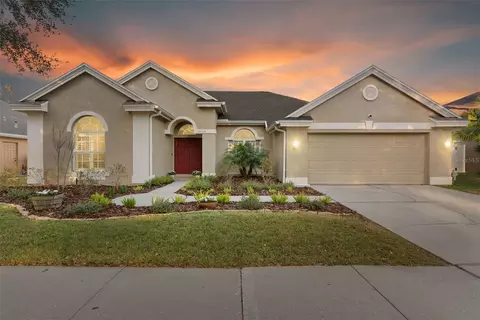 8204 Ginger Pine Way, Tampa, FL 33647
