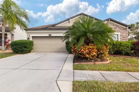 11528 Palmetto Pine St, Riverview, FL 33569