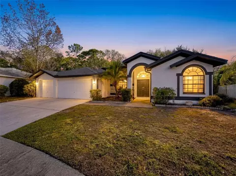 10006 Vista Pointe Dr, Tampa, FL 33635