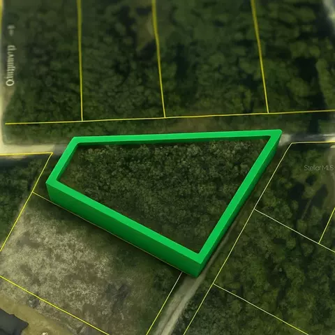 Coral Rock Drive, Webster, FL 33597