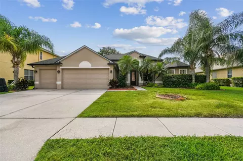 26848 Shoregrass Dr, Wesley Chapel, FL 33544