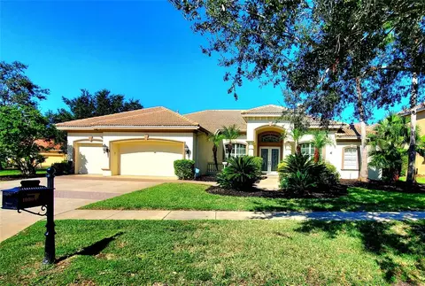 10004 Tree Tops Lake Rd, Tampa, FL 33626