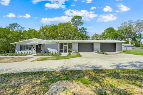 311 Griffin View Dr, Lady Lake, FL 32159