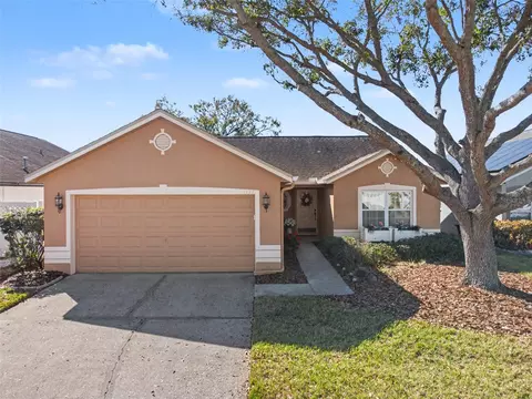 1113 Vinetree Dr, Brandon, FL 33510